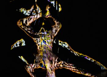    Espetáculo gratuito de dança, artes visuais, performance e tecnologia chega à Caraguatatuba no dia 18