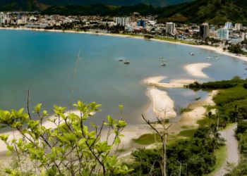 Prefeitura realiza plantio de mais de 1 mil mudas pelo programa de “Arborização Urbana”