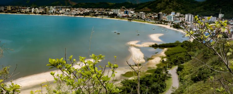 Prefeitura realiza plantio de mais de 1 mil mudas pelo programa de “Arborização Urbana”