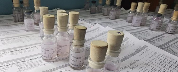 Caraguatatuba reforça medidas de prevenção contra casos de virose