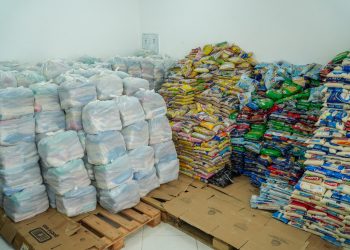 Fundo Social de Bertioga arrecada 20 toneladas de alimentos com shows de verão