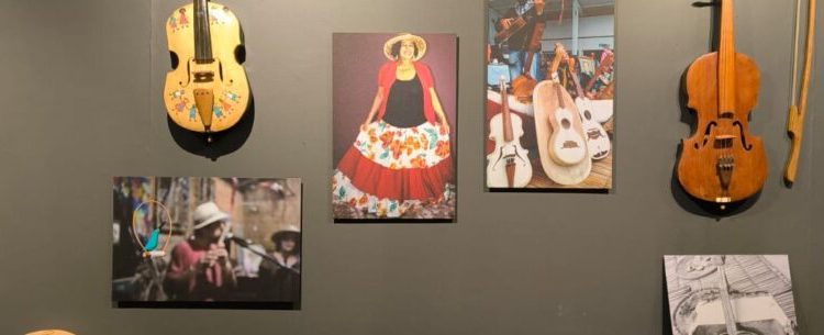 Exposições “Emaranhadas”, “Olhares de Ennio Angelo” e “Frondosa” seguem em fevereiro no MACC