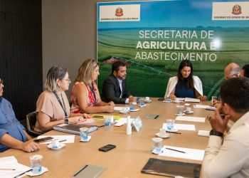 Novo código da Pesca – reunião discute relatório final