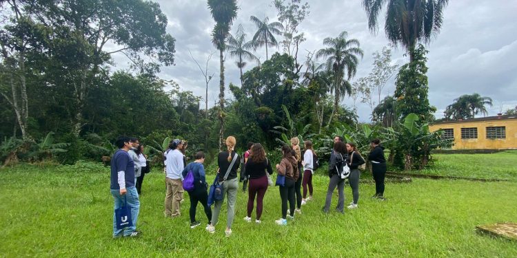 Estudantes americanos realizam imersão turística e cultural em Bertioga
