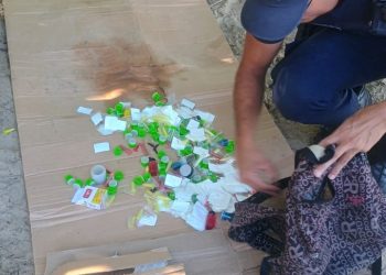 GCM de Bertioga realiza prisão em flagrante por tráfico de drogas