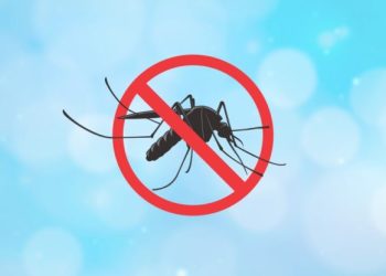 Aedes aegypti: Ubatuba prepara nova Avaliação de Densidade Larvária 