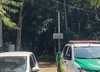 Intervenções irregulares na Mococa são fiscalizadas pelo Governo Municipal de Caraguatatuba  O Governo Municipal, por meio da Secretaria de Meio Ambiente, Agricultura e