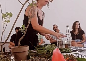Coletivo RAPECCA realiza feira agroecológica dia 22 na Praça do Caiçara