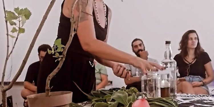 Coletivo RAPECCA realiza feira agroecológica dia 22 na Praça do Caiçara