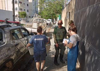 Carcará debilitado é resgatado pelo DOA de Bertioga