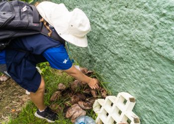 Bairro Chácaras é o próximo destino da força-tarefa de combate à dengue