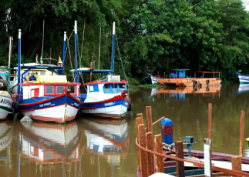 Neste sábado tem Saída Fotográfica no Rio Juqueriquerê em Caraguatatuba