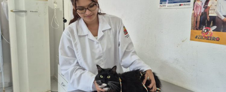 CCZ abre 250 vagas do Programa de Controle Populacional de cães e gatos nesta sexta-feira