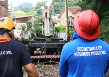 Moradores sentem alívio após retirada de árvore que ameaçava cair no bairro Benfica