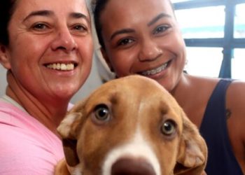 Quatro animais são adotados em Feira do Centro de Controle de Zoonoses