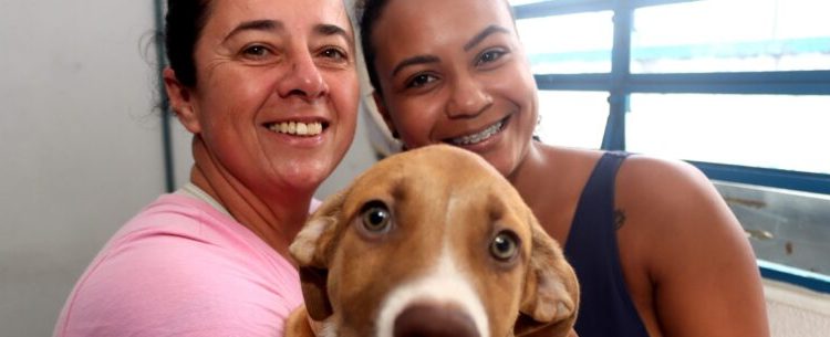 Quatro animais são adotados em Feira do Centro de Controle de Zoonoses