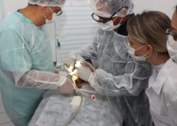 Mutirão de cirurgias odontológicas reduz fila de espera na rede municipal