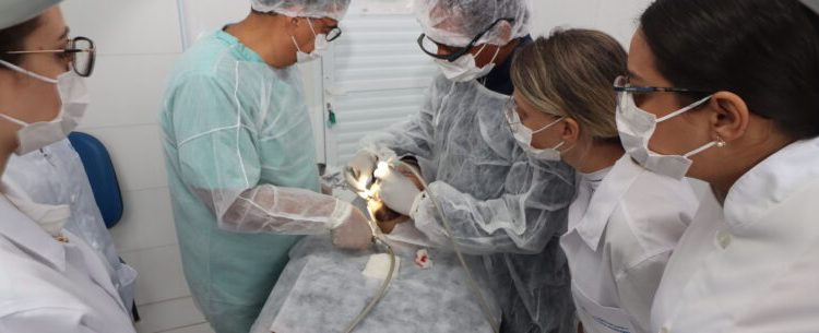 Mutirão de cirurgias odontológicas reduz fila de espera na rede municipal