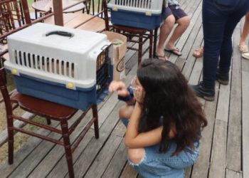 Nove animais do Centro de Controle de Zoonoses ganham lares após feira de adoção