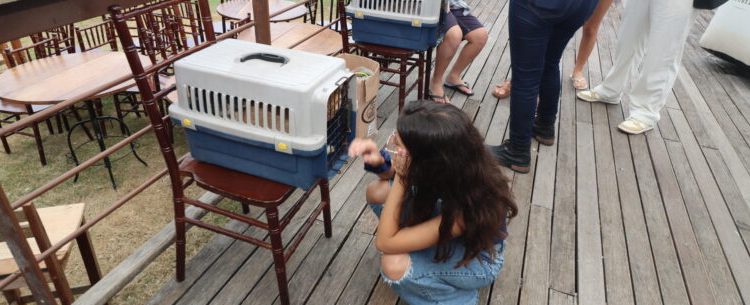 Nove animais do Centro de Controle de Zoonoses ganham lares após feira de adoção