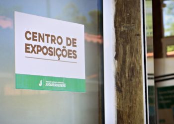Parque Juqueriquerê recebe exposição de kokedamas e terrários em parceria com Centro Universitário Módulo