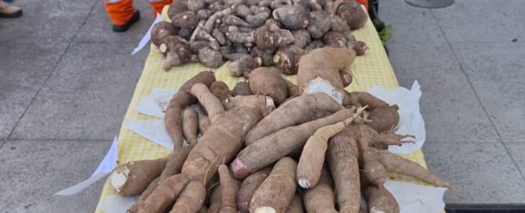 Feira Agroecológica reúne produtores locais para comercialização de produtos sustentáveis em Caraguatatuba