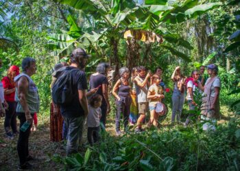 *Ponto de Cultura Odé da Mata promove curso de Saneamento Ecológico e oficina de bioconstrução para crianças*