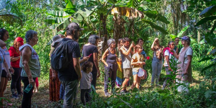 *Ponto de Cultura Odé da Mata promove curso de Saneamento Ecológico e oficina de bioconstrução para crianças*