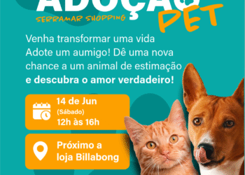 Serramar Shopping realiza segunda edição de Feira de Adoção Pet, no próximo sábado (14)