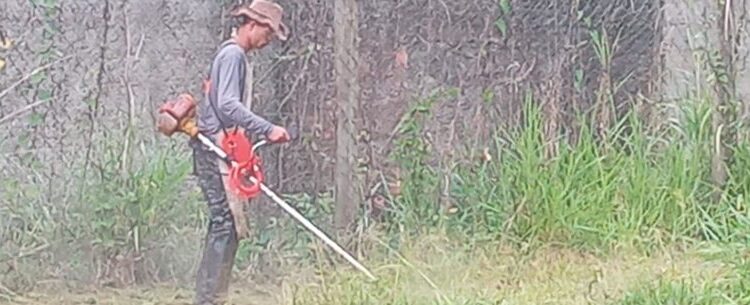 Secretaria de Administração convoca mais 28 bolsistas do PEAD para reforço na limpeza urbana de Caraguatatuba