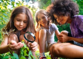 Ano de COP 30 reacende debate sobre meio ambiente e educação