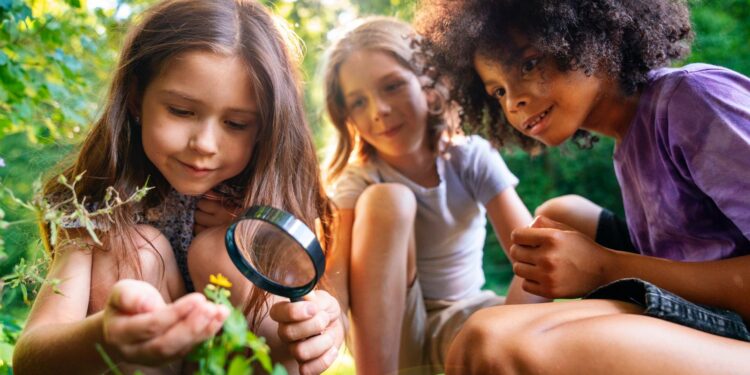 Ano de COP 30 reacende debate sobre meio ambiente e educação