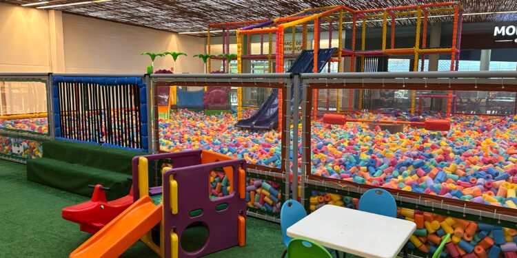 Parque das Lhamas chega ao Serramar Shopping e promete muita diversão para a criançada