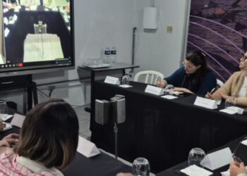 Conselheiras Tutelares de Caraguatatuba são capacitadas em ferramenta tecnológica para unificação nacional de registros