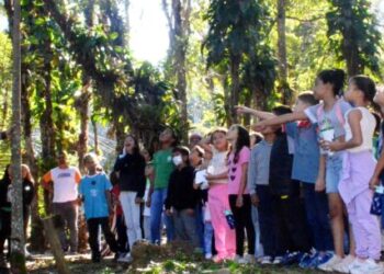 Projeto piloto “Colônia de Férias” leva crianças do residencial Getuba ao Parque Estadual Serra do Mar em Caraguatatuba