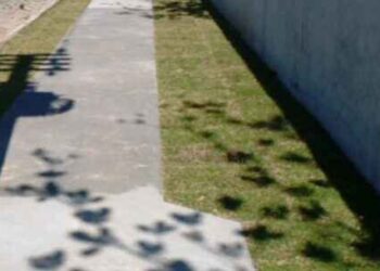 Solicitação de projeto de acessibilidade do programa Calçada Legal passa a ser on-line