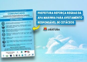 Prefeitura reforça regras da APA Marinha para avistamento responsável de cetáceos