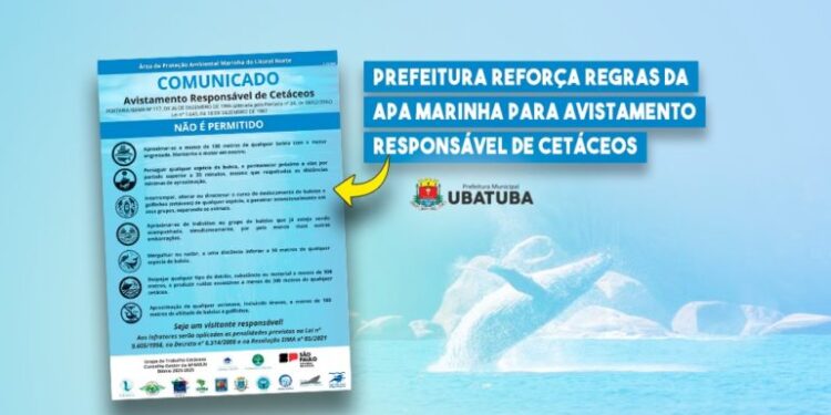 Prefeitura reforça regras da APA Marinha para avistamento responsável de cetáceos