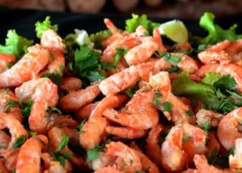 26º Festival do Camarão começa com programação diversificada