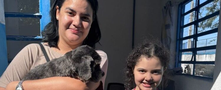 Três cães são adotados na feira de adoção do Centro de Controle de Zoonoses em Caraguatatuba