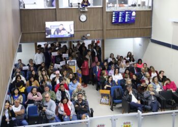 Câmara mantém veto ao projeto sobre fogos com estampido e nova proposta será votada em extraordinária