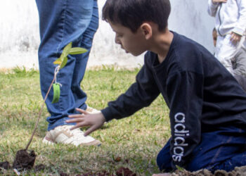 Alunos plantam árvores em escola municipal durante ação do Projeto Arborizar