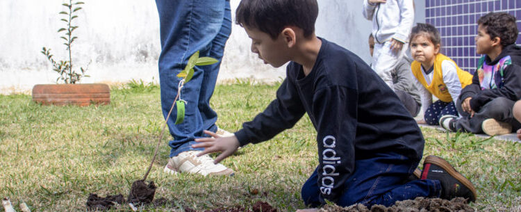 Alunos plantam árvores em escola municipal durante ação do Projeto Arborizar