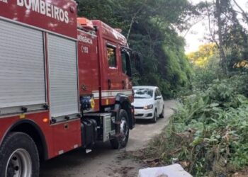 Caraguatatuba registra 107 ocorrências ambientais em julho e intensifica ações de fiscalização