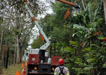EDP realiza mutirão de poda de vegetação próxima à rede elétrica e modernização de equipamentos em bairros de Caraguatatuba e São Sebastião