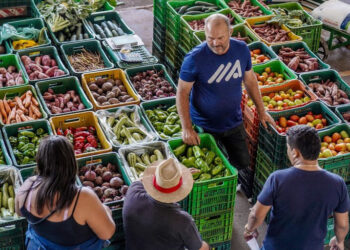 Pelo segundo mês seguido, grupo de Alimentação e bebidas registra queda de preços no Brasil