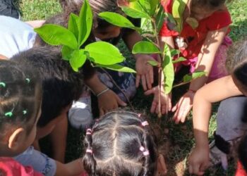 Plantio de mudas marca celebração do Dia da Árvore em escola de Caraguatatuba