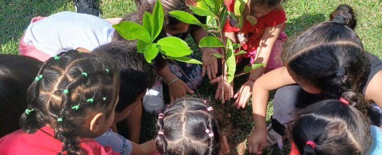 Plantio de mudas marca celebração do Dia da Árvore em escola de Caraguatatuba