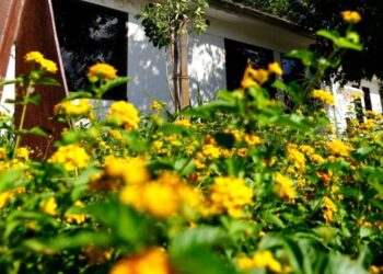 19ª Primavera dos Museus em Caraguatatuba oferece exibição de filmes, palestras, oficinas e roda de conversa com caiçaras tradicionais