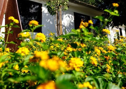 19ª Primavera dos Museus em Caraguatatuba oferece exibição de filmes, palestras, oficinas e roda de conversa com caiçaras tradicionais